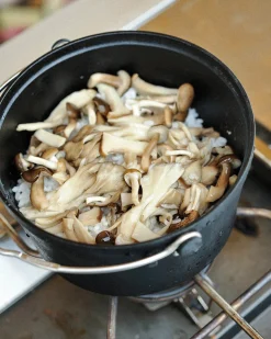 Cast Iron Duo