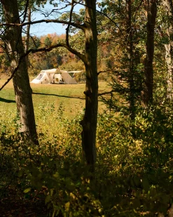 Land Nest Shelter in Ivory
