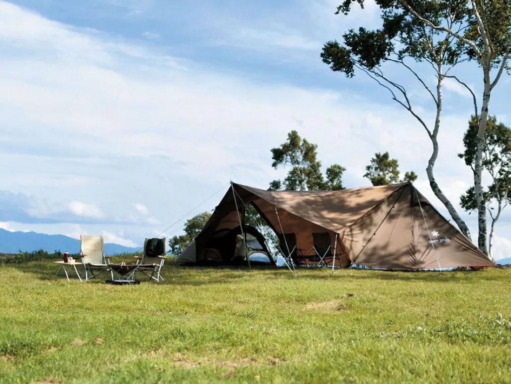 Land Station