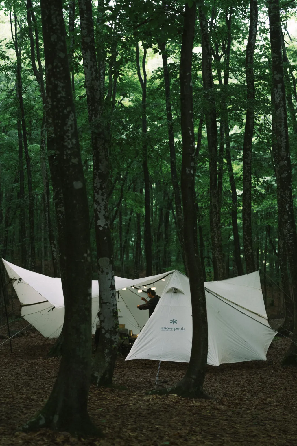Land Station Tent Set